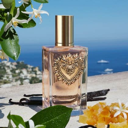 devotion dolce & gabbana duftzwilling|d&g devotion fragrance.